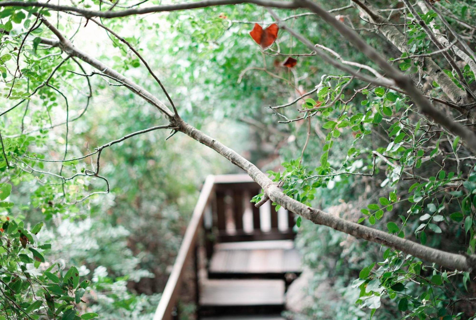 Villa Live In The Woods Mikhmannim Exterior foto